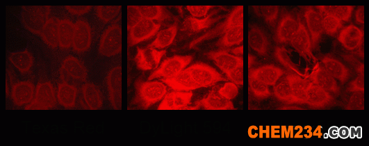 替代Alexa 594、Texas Red的Dylight 594紅色熒光