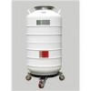 貯存運(yùn)輸型液氮罐 BD170364型