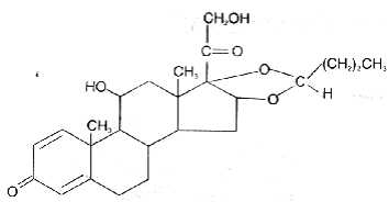 大量供應布地奈德