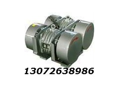 WHZY-2*30-6直線自振源連體電機 WZZJ激振器