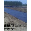 供應藕池防滲膜價格、藕池防滲膜廠家
